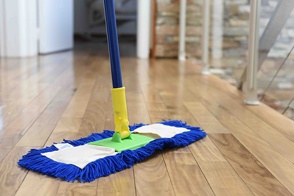 Barredor Plástico Doméstico Acrílico Completo